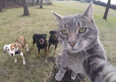 selfie